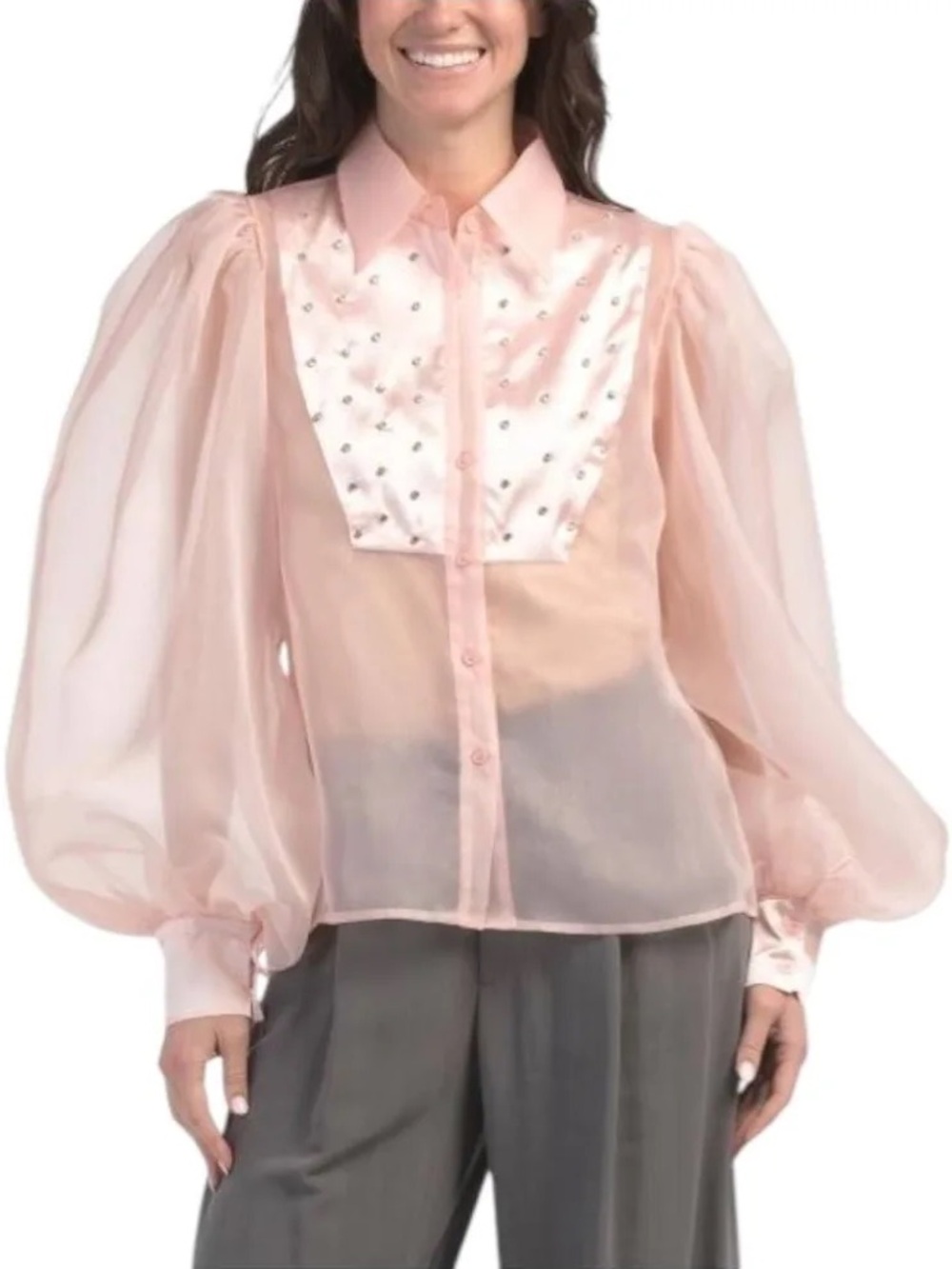 Sheer Pale Pink Puff-Sleeve Button Front Blouse with Satin Bib